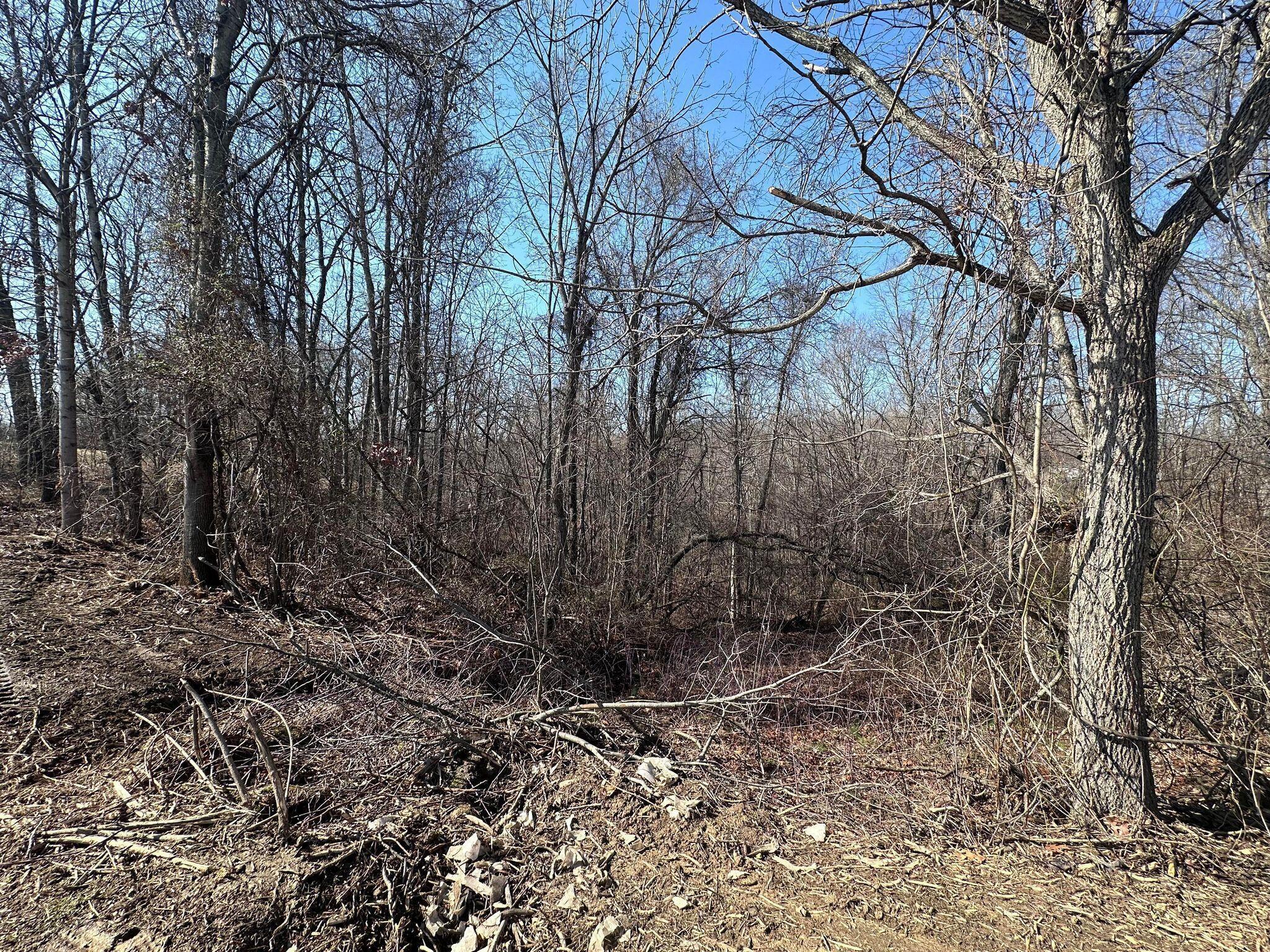 2605 Keffer Road Stockport, OH 43787 - Photo 22 of 25 417958173_898929095247714_73399620627136