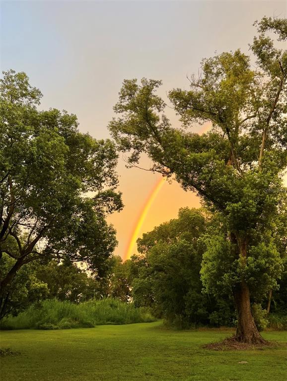 3535 Moores Lake Road Dover, FL 33527 - Photo 85 of 85 This home is like a Pot o' Gold at the end of the rainbow.
