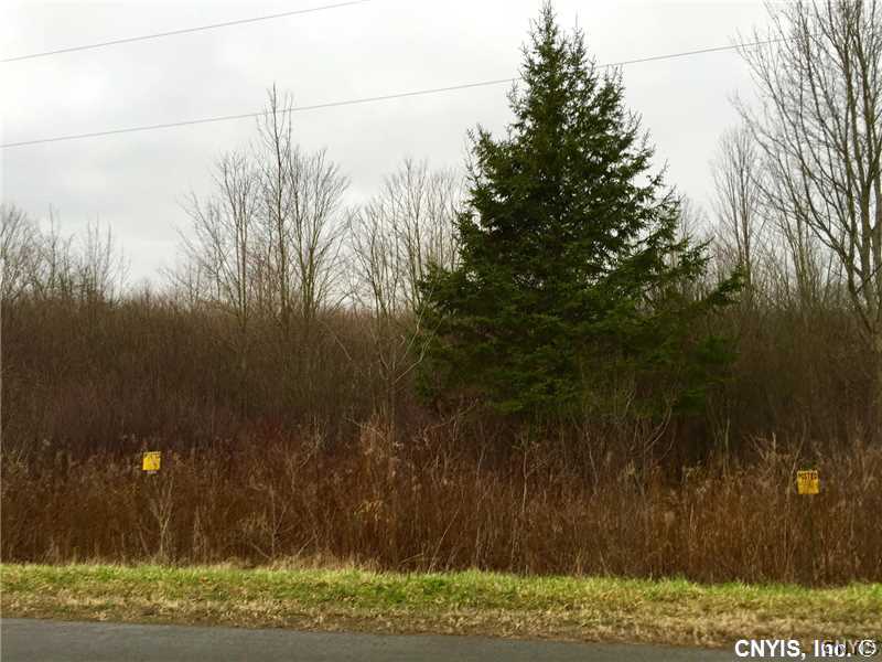255 Orton Road Pulaski, NY 13142 - Photo 4 of 7