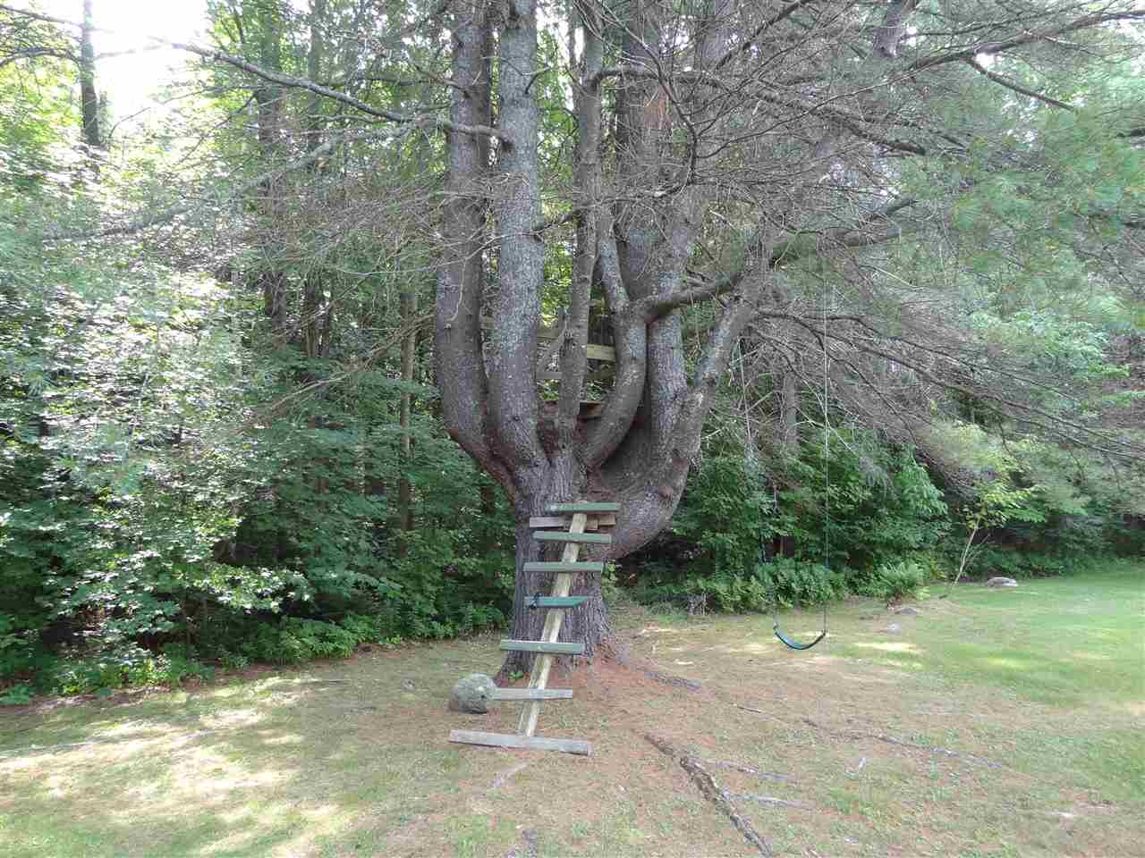 230 Teer Road Mount Holly, VT 05730 - Photo 30 of 40
