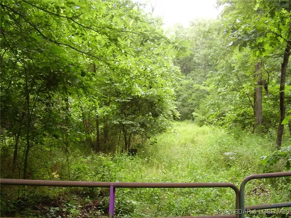 $234,000 | Tbd Tbd A Highway, Montreal, MO 65591