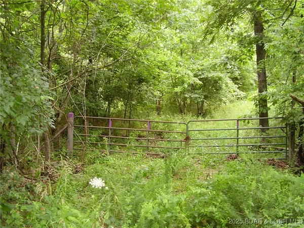 $234,000 | Tbd Tbd A Highway, Montreal, MO 65591