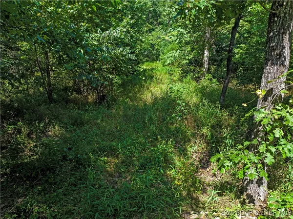 $234,000 | Tbd Tbd A Highway, Montreal, MO 65591