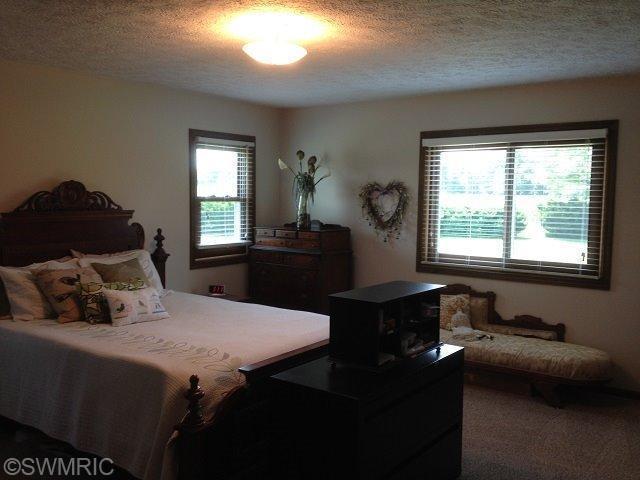 12050 Belding Road Northeast Belding, MI 48809 - Photo 5 of 12 Additional Photo