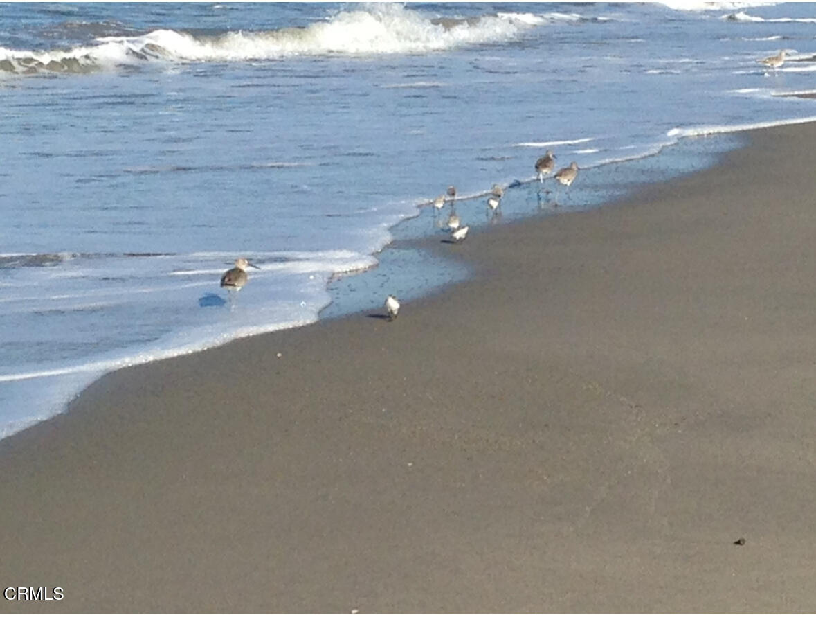 2517 Panama Drive Oxnard, CA 93035 - Photo 25 of 27 a view of a terrace space