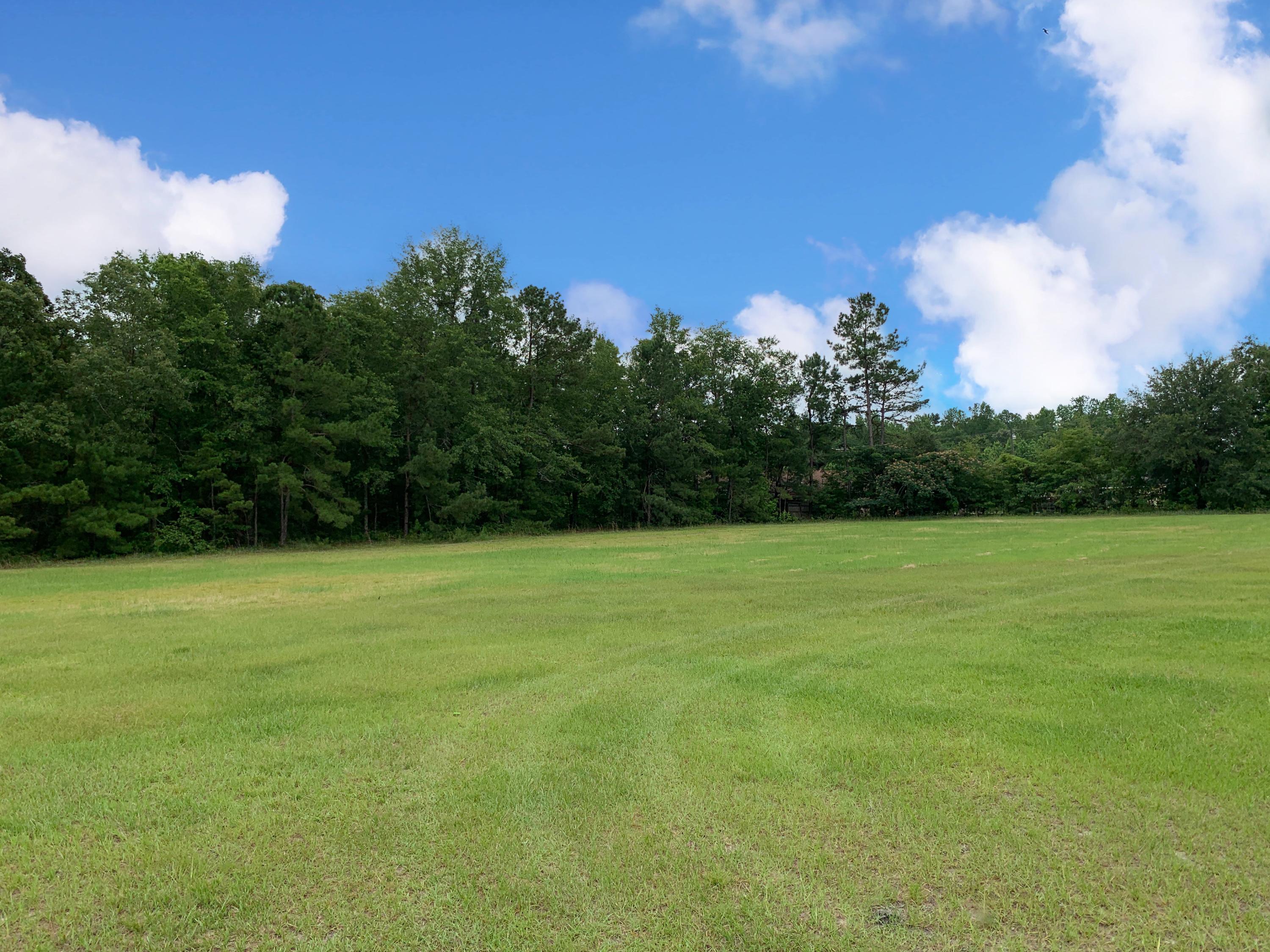 2620 Harristown Road St. Stephen, SC 29479 - Photo 30 of 35 Cleared Land 2