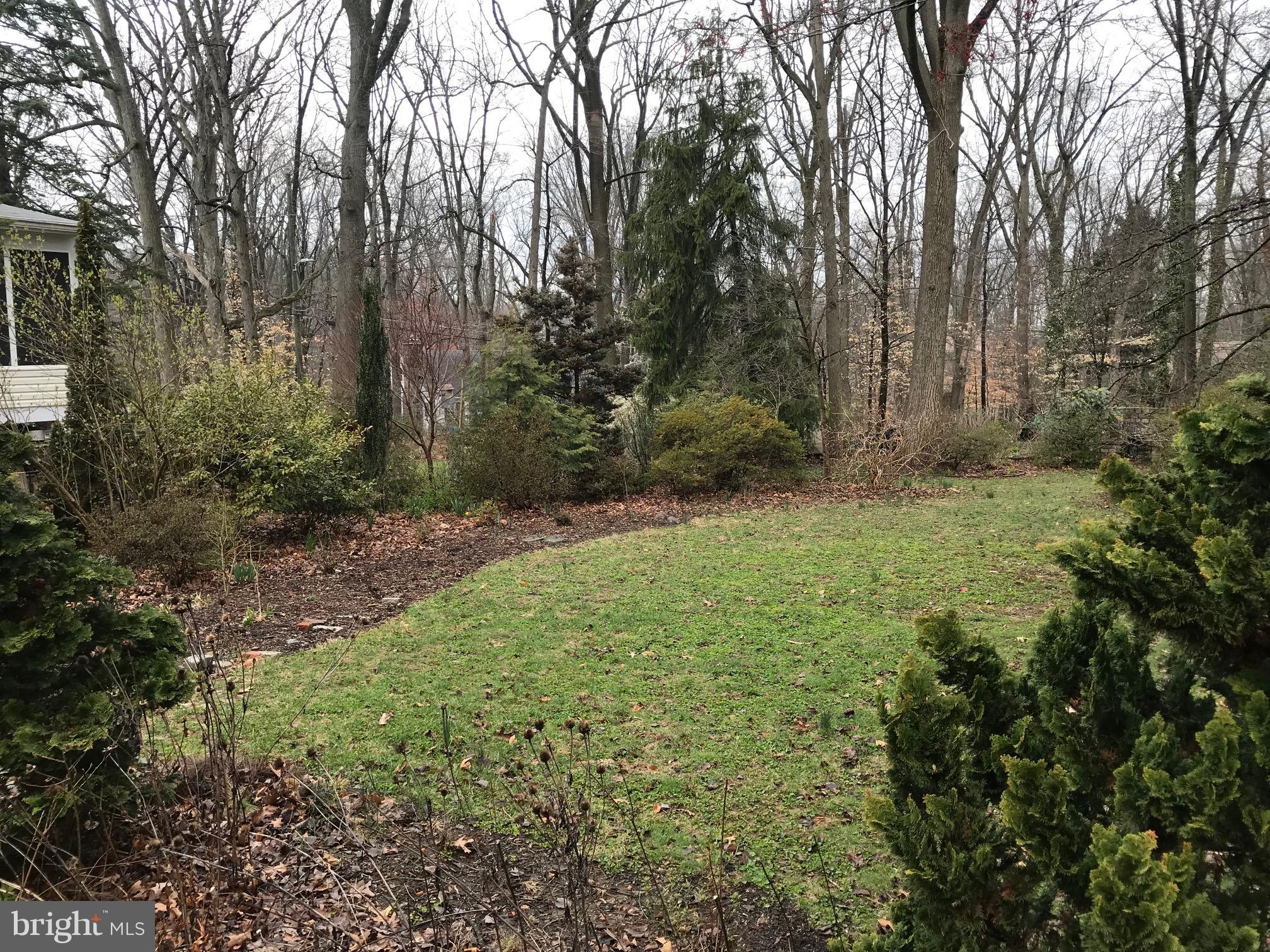918 Litchfield Road Baltimore, MD 21239 - Photo 23 of 24 Private backyard