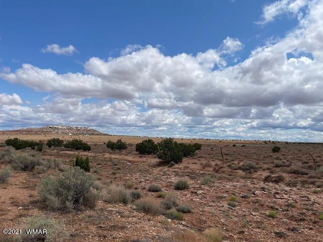 5 Ridgeview Ranch Drive Snowflake, AZ 85937 - Photo 2 of 7