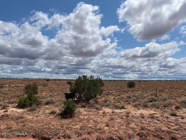 5 Ridgeview Ranch Drive Snowflake, AZ 85937 - Photo 4 of 7