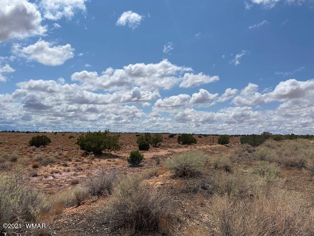 5 Ridgeview Ranch Drive Snowflake, AZ 85937 - Photo 5 of 7