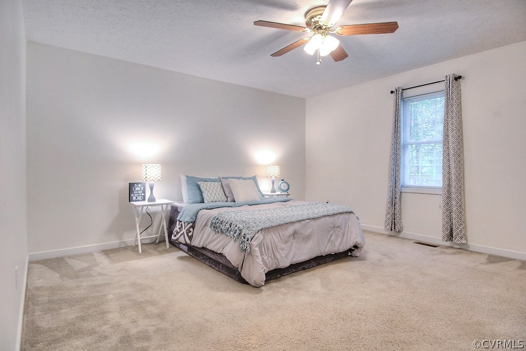 19493 Courtney Road Hanover, VA 23069 - Photo 19 of 30 Master bedroom with plush carpet, closet, ceiling