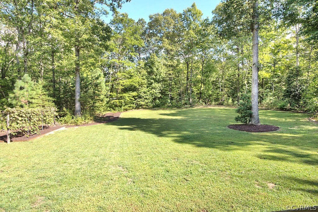 19493 Courtney Road Hanover, VA 23069 - Photo 3 of 30 What an amazing FRONT yard surrounded by trees, be