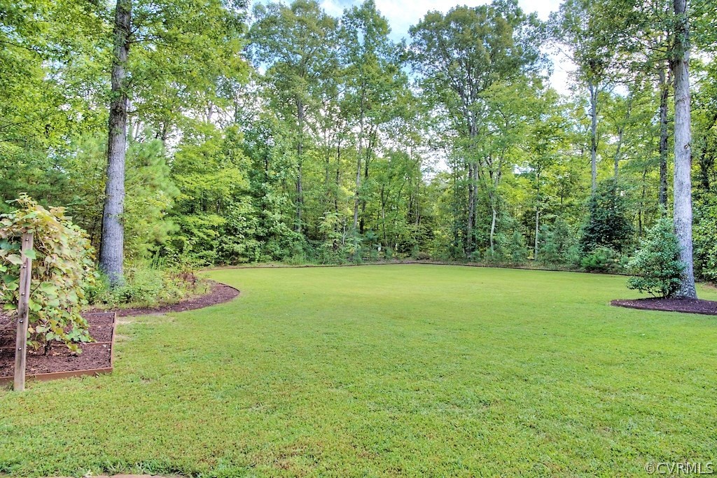 19493 Courtney Road Hanover, VA 23069 - Photo 4 of 30 Super Private and Scenic!