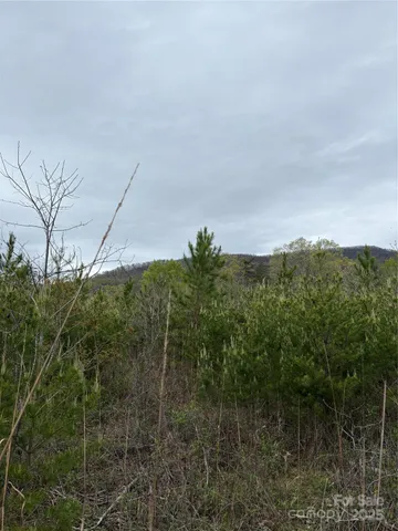 a view of a lake with a mountain in the background