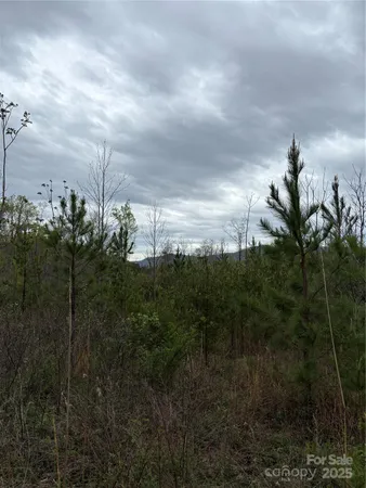a view of a yard and mountain in the background