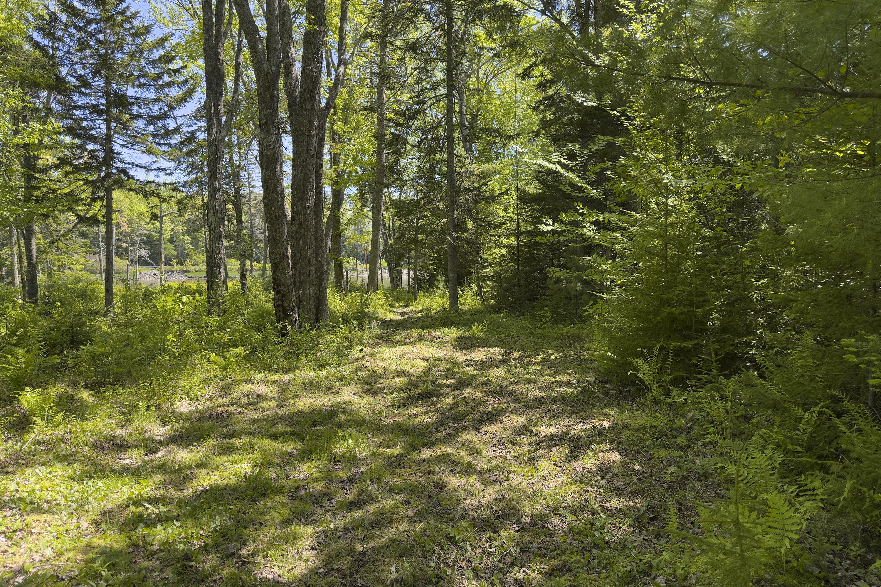 441 Seal Harbor Road St. George, ME 04859 - Photo 41 of 45 67- 441 Seal Harbor Road - St. George- J