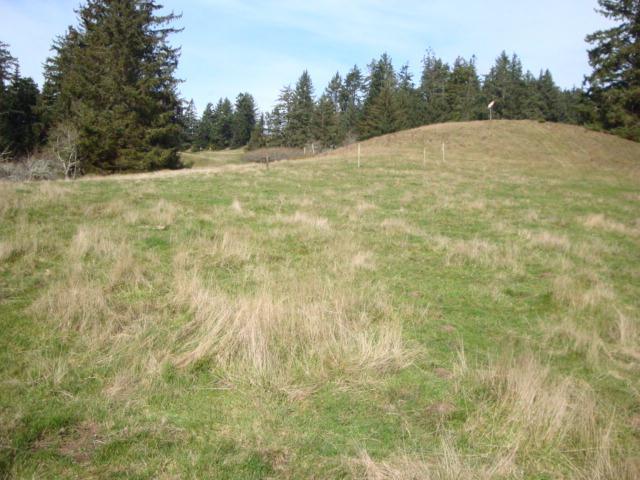 0 Berta Road Eureka, CA 95503 - Photo 17 of 20
