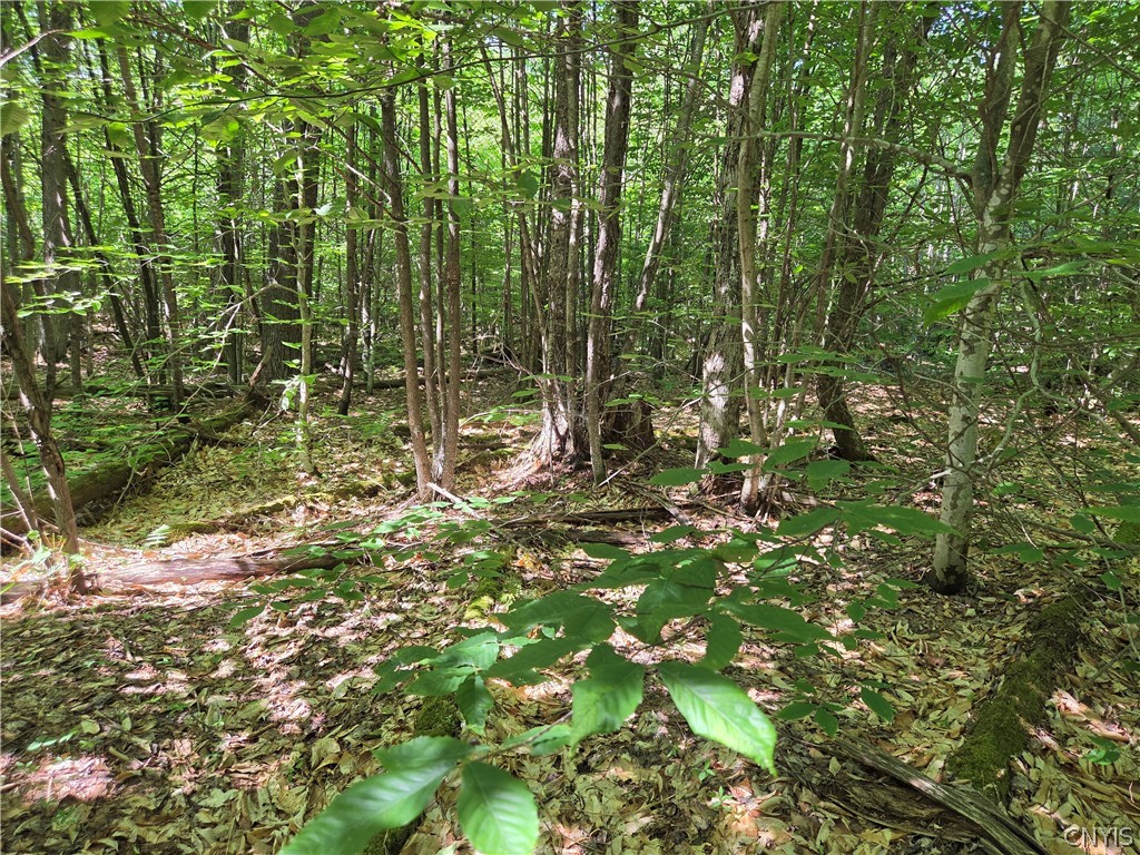 7399 Pennysettlement Road Lyonsdale, NY 13433 - Photo 6 of 7