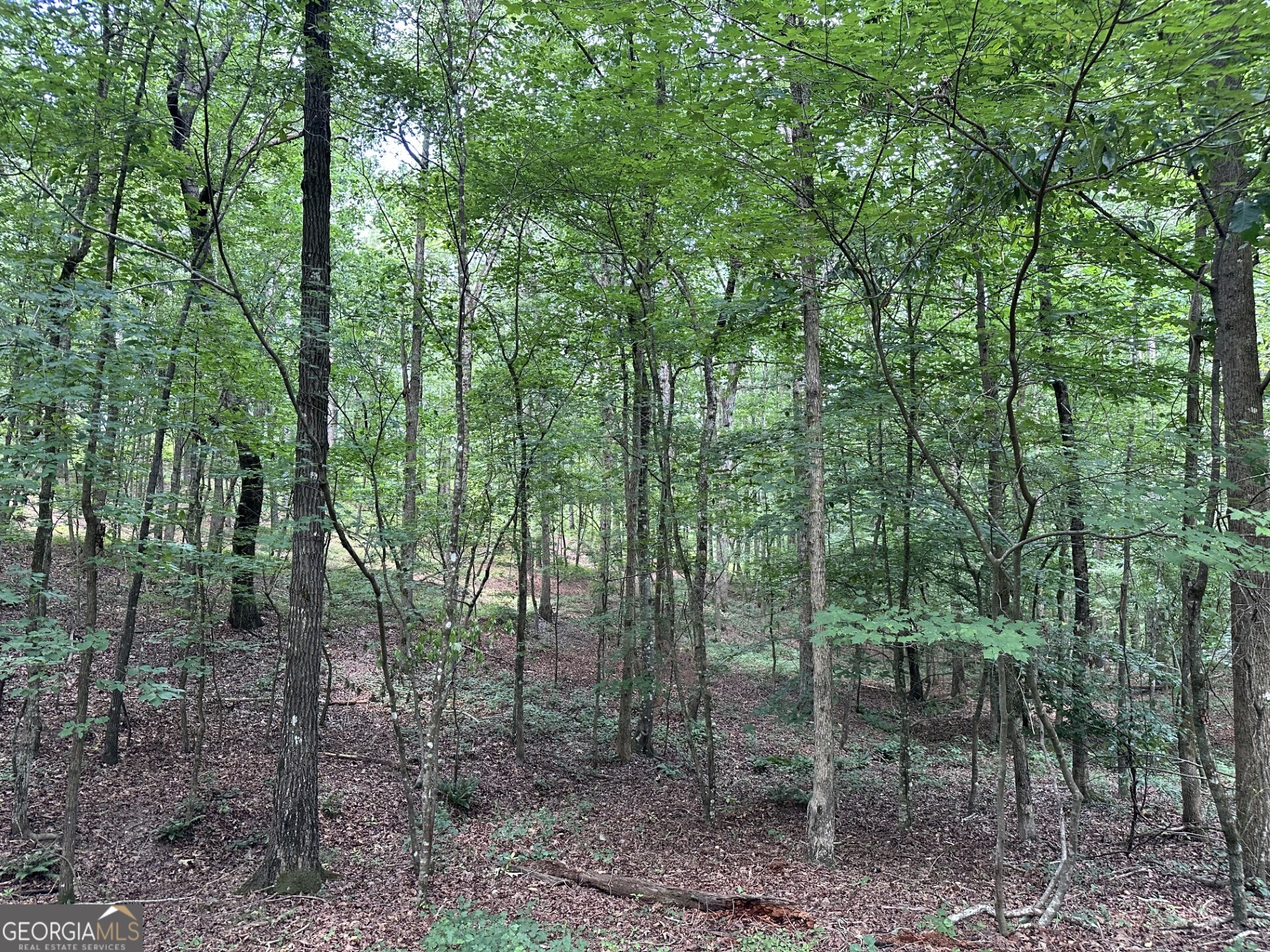 360 Happy Hollow Road Comer, GA 30629 - Photo 17 of 31