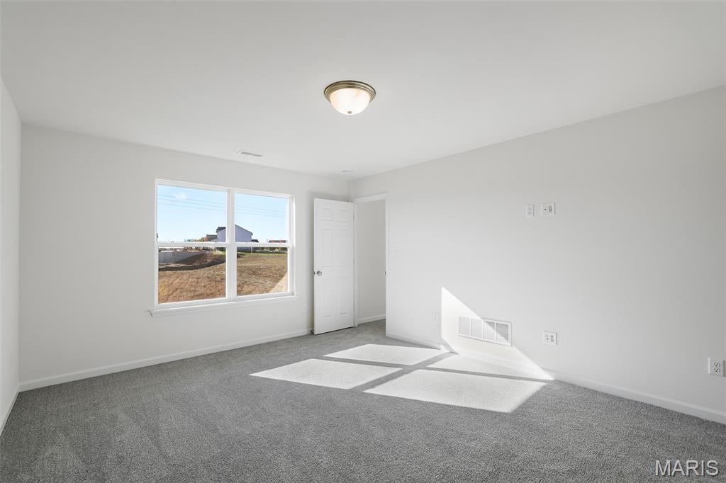 4352 Bear Rdg Drive House Springs, MO 63051 - Photo 16 of 22