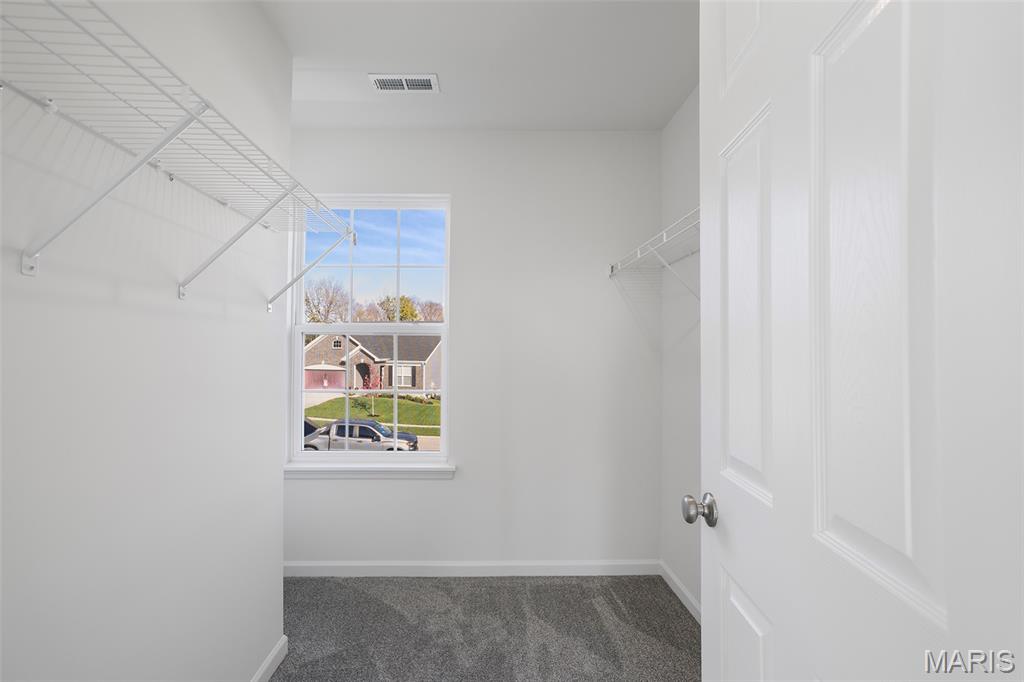 4352 Bear Rdg Drive House Springs, MO 63051 - Photo 17 of 22