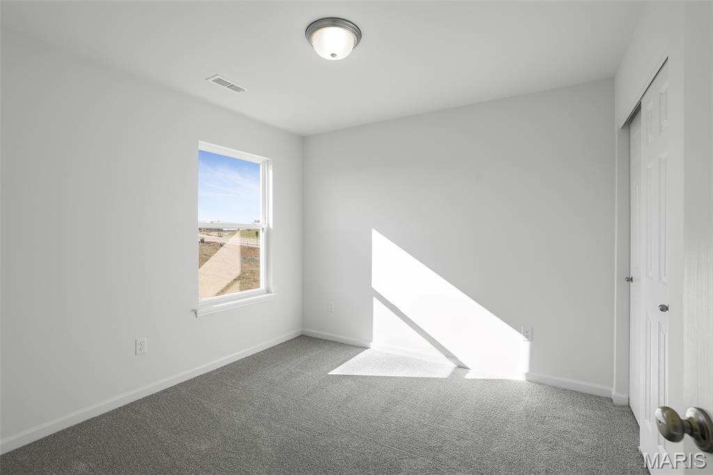 4352 Bear Rdg Drive House Springs, MO 63051 - Photo 20 of 22