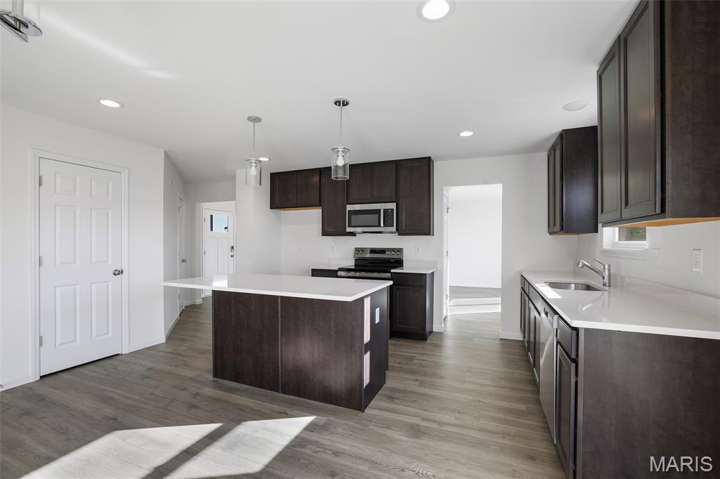 4352 Bear Rdg Drive House Springs, MO 63051 - Photo 9 of 22