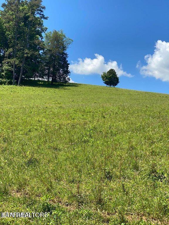 Lot 6 Chapman Road La Follette, TN 37766 - Photo 3 of 7 lot5