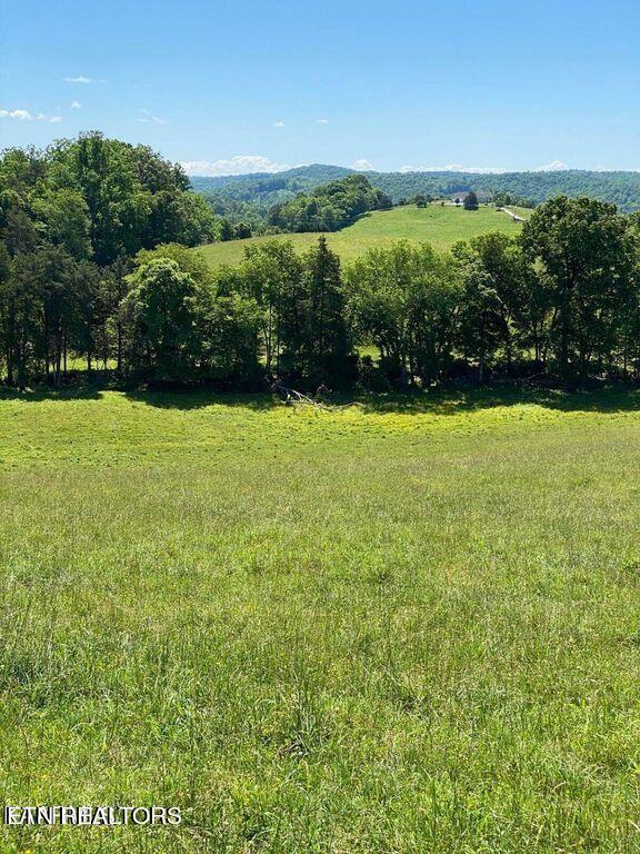Lot 6 Chapman Road La Follette, TN 37766 - Photo 6 of 7 lot2