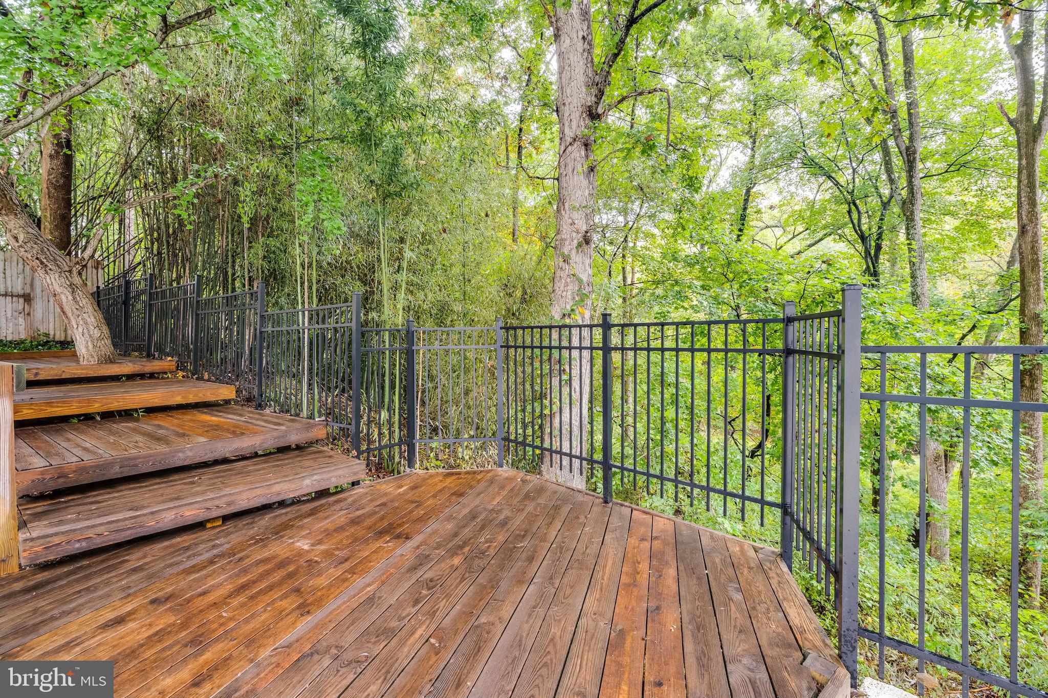 10233 Seven Locks Road Potomac, MD 20854 - Photo 26 of 33 Rear Yard Backs to Parkland