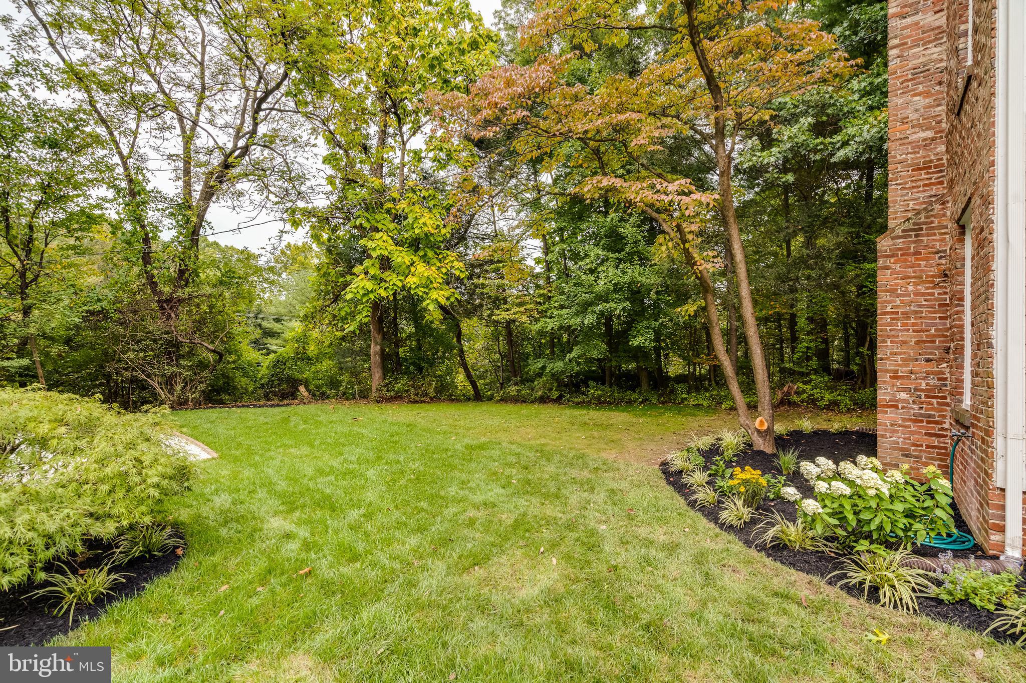 10233 Seven Locks Road Potomac, MD 20854 - Photo 30 of 33 Beautiful Plants and Flowers in Yard