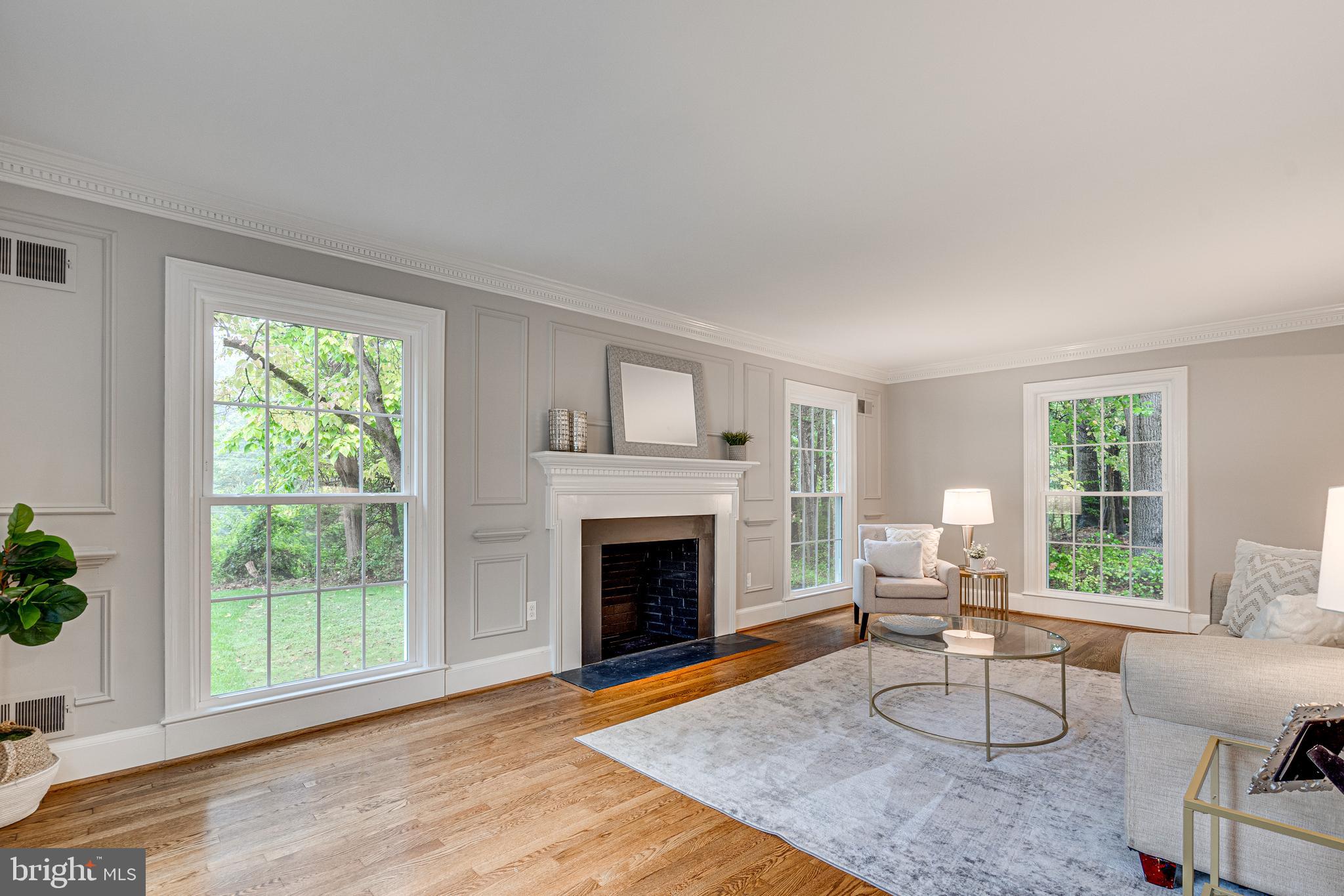 10233 Seven Locks Road Potomac, MD 20854 - Photo 4 of 33 Elegant Living Room w/ Fireplace