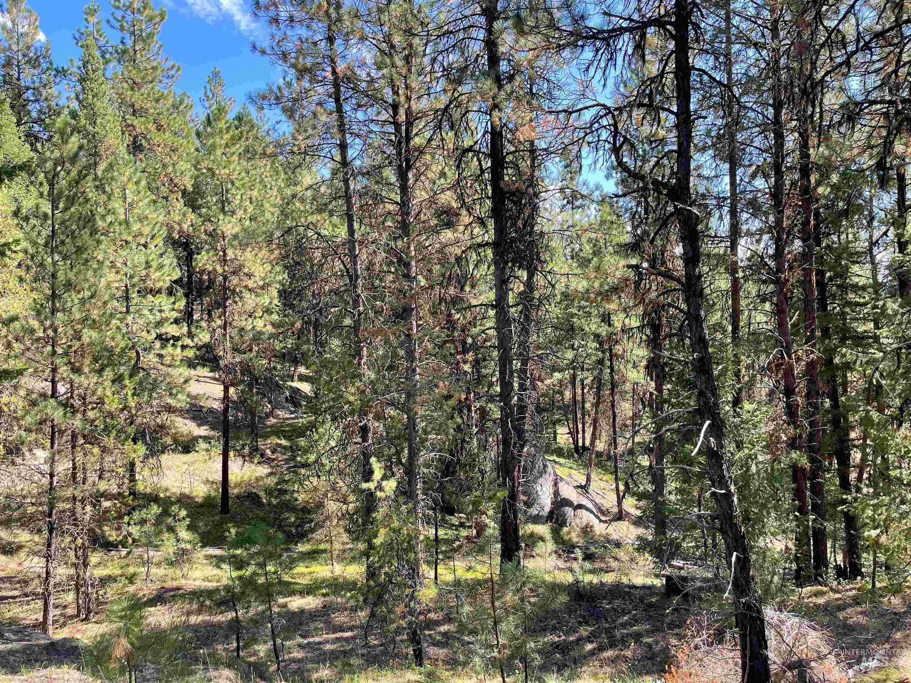 1-2 Horesthief Road Cascade, ID 83611 - Photo 9 of 9