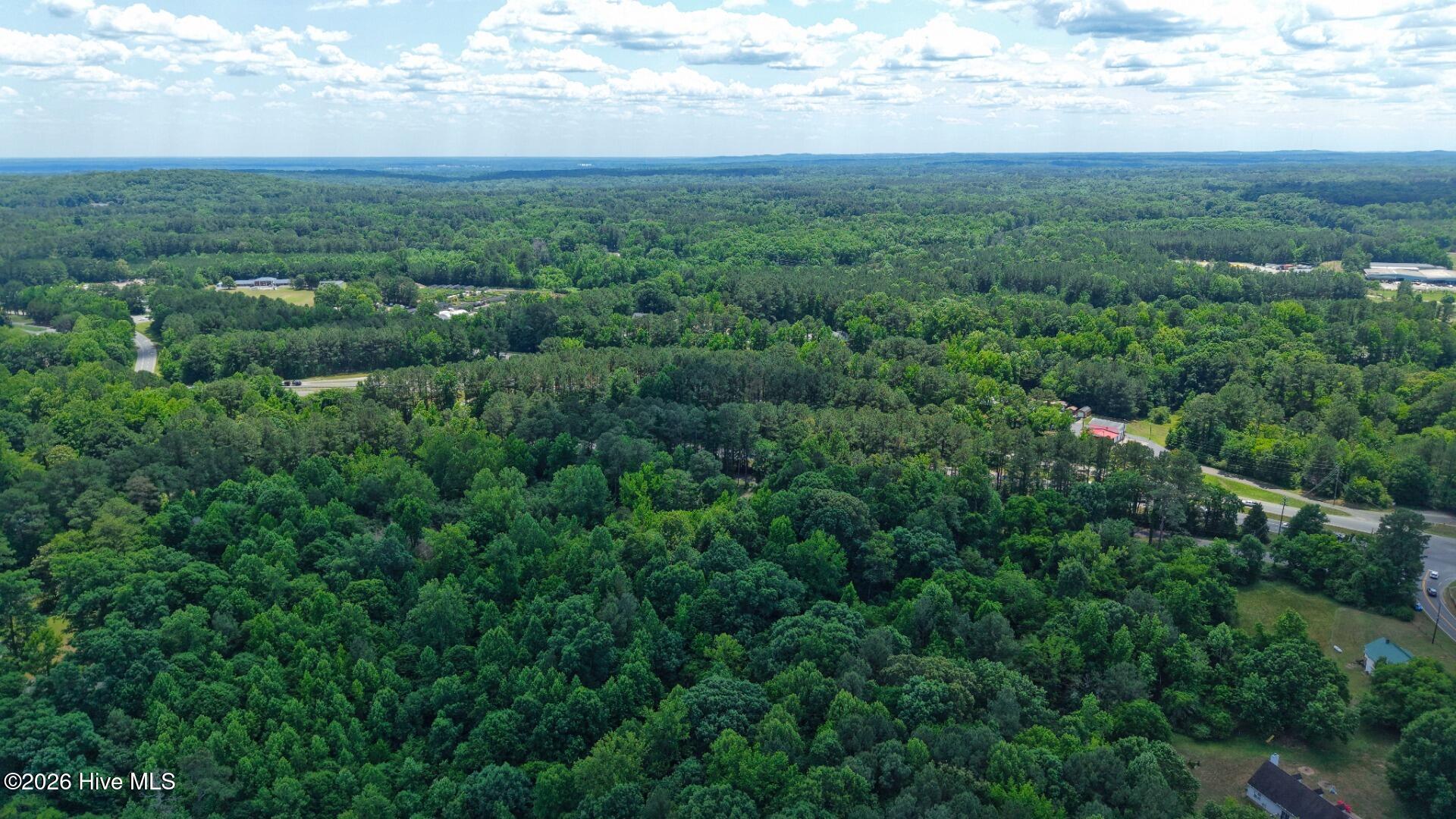0 Laurel Rdg Road Durham, NC 27705 - Photo 8 of 36