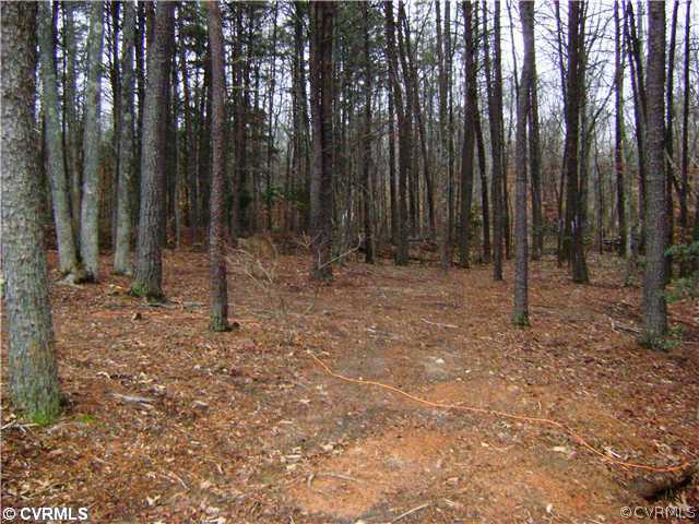 1070 Deep Run Road Cartersville, VA 23027 - Photo 12 of 12 Yard/Garden