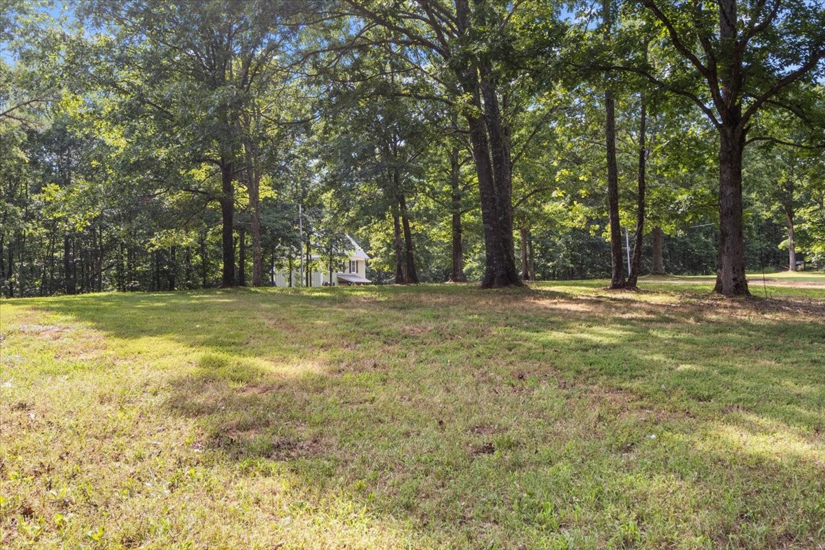 6717 Pilot Lane Lyles, TN 37098 - Photo 34 of 38