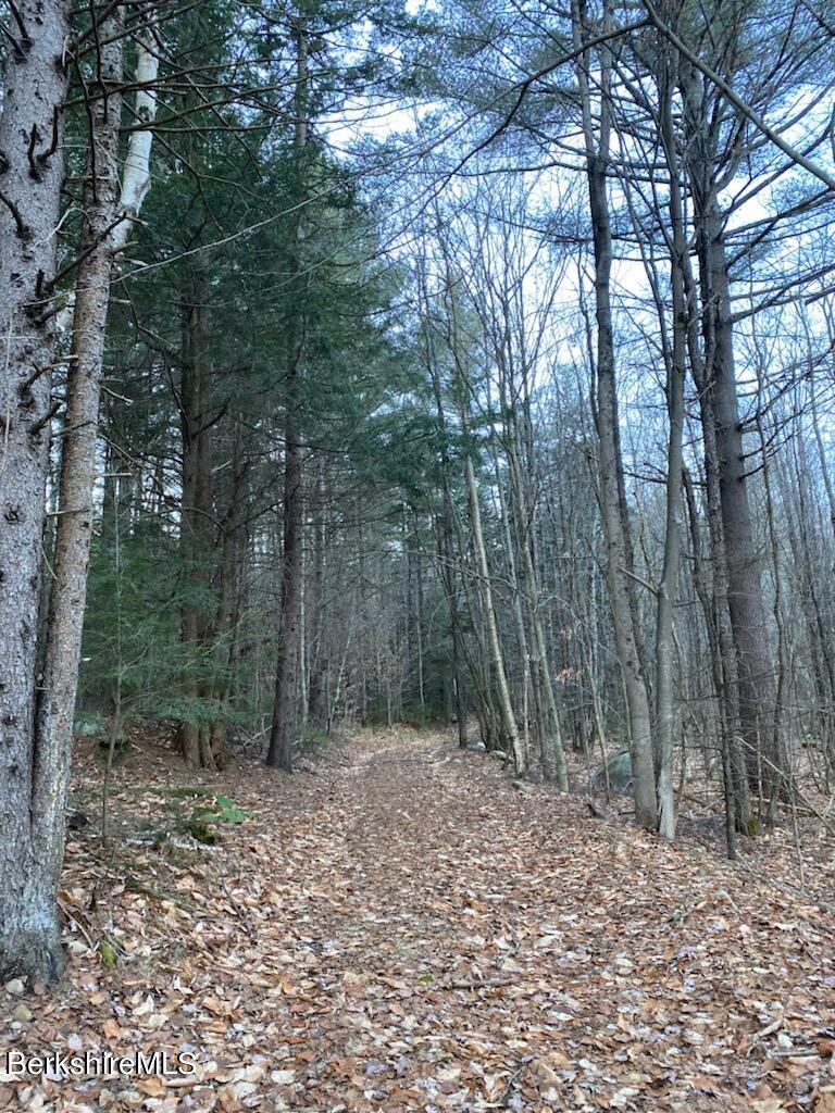 Washington Road Hinsdale, MA 01235 - Photo 11 of 11 a backyard of a house with lots of trees