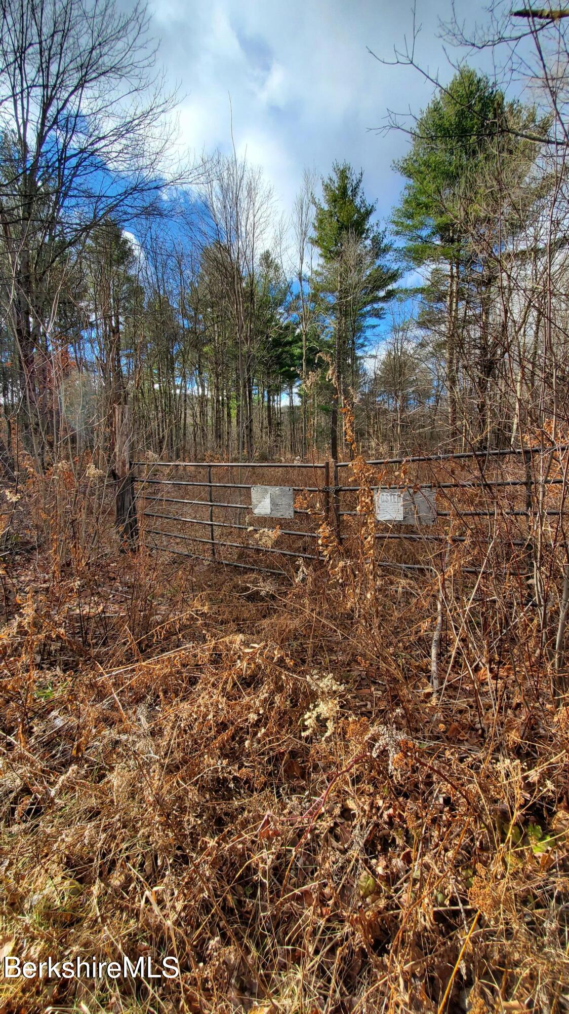 Washington Road Hinsdale, MA 01235 - Photo 2 of 11 a backyard of a house with lots of green space