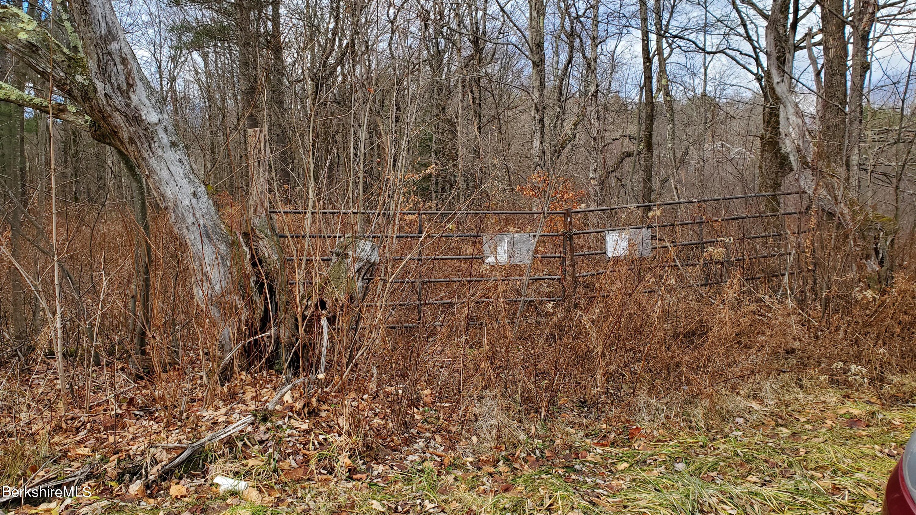Washington Road Hinsdale, MA 01235 - Photo 3 of 11 a view of yard