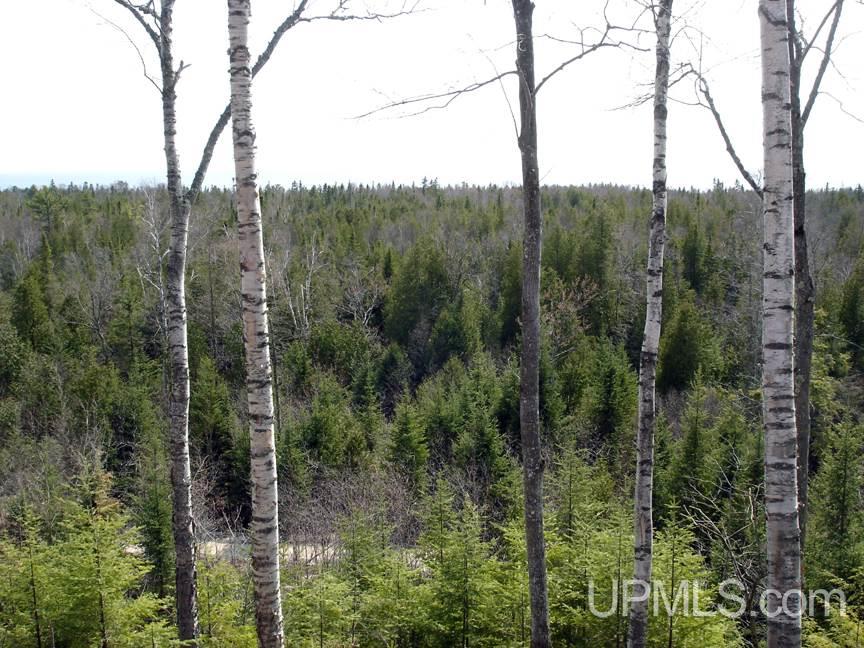 Tbd Northshore Bluffs Road, Unit 3 Manistique, MI 49854 - Photo 9 of 22