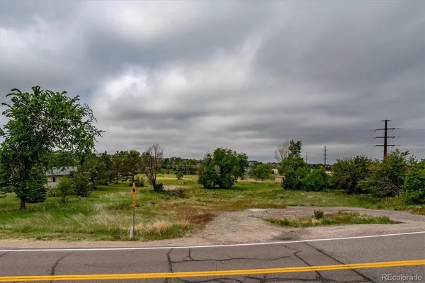 a view of a big yard with large trees