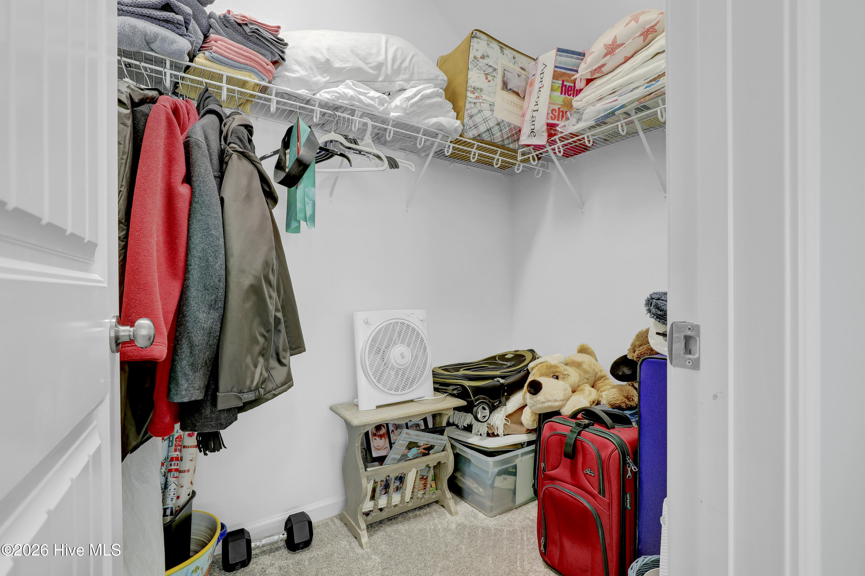 175 Violetear Ridge Hampstead, NC 28443 - Photo 29 of 68 28a