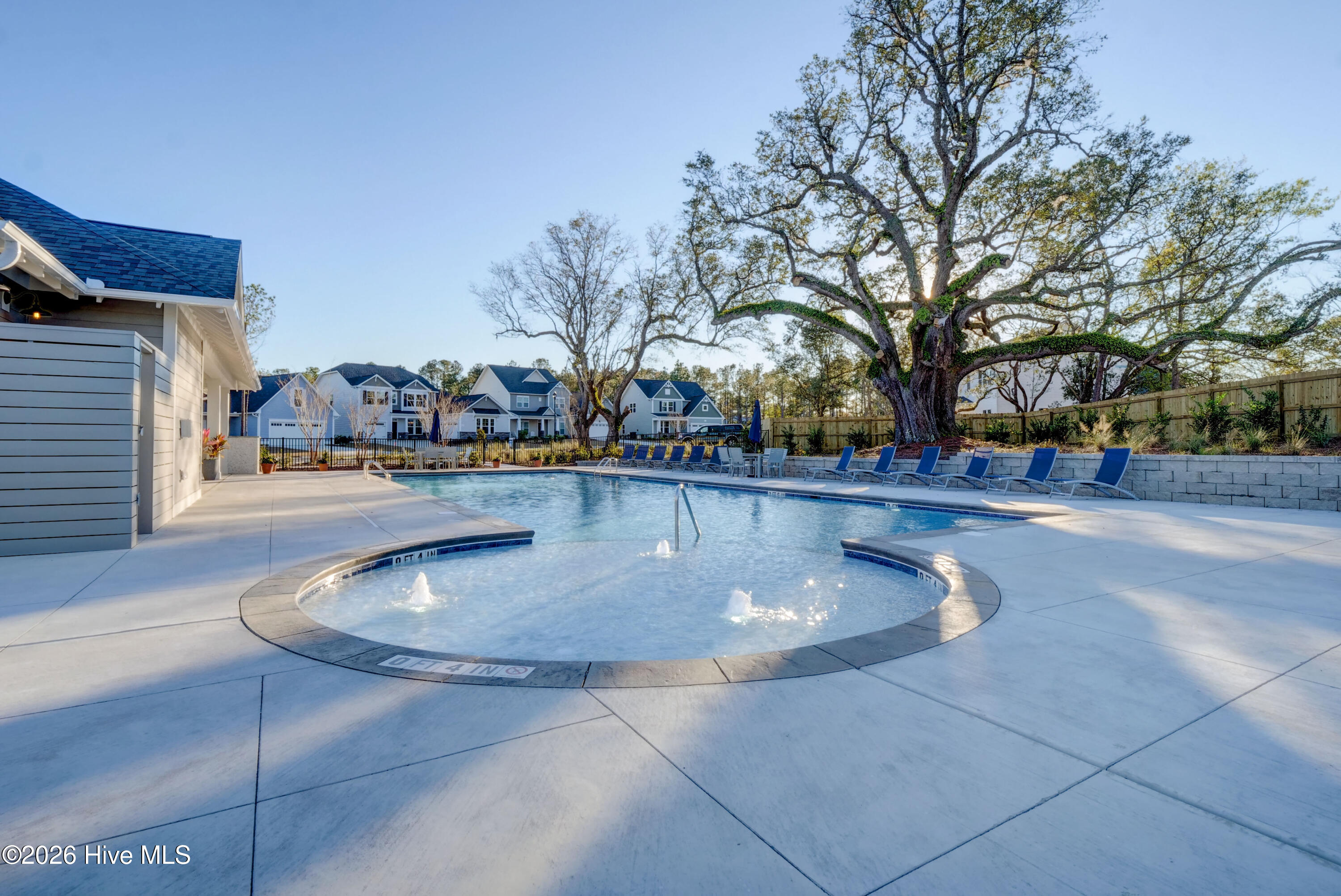 175 Violetear Ridge Hampstead, NC 28443 - Photo 64 of 68 72