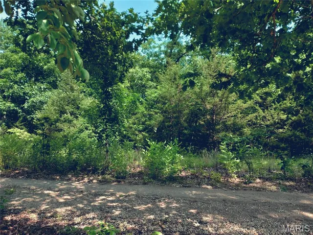 $40,000 | 231 Dogwood Lane, Williamsburg, MO 63388