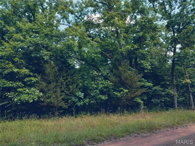 $40,000 | 231 Dogwood Lane, Williamsburg, MO 63388