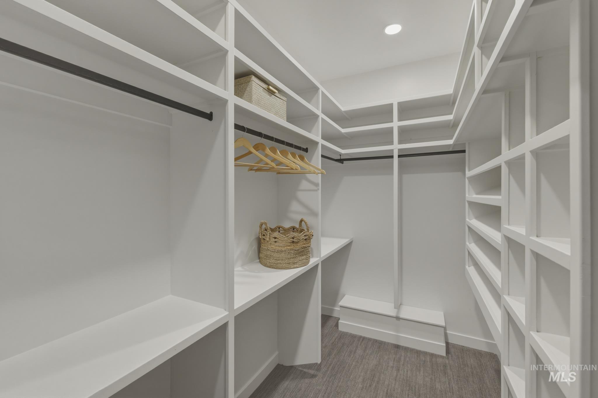4275 36th Street Boise, ID 83703 - Photo 23 of 50 Walk in closet featuring dark colored carpet