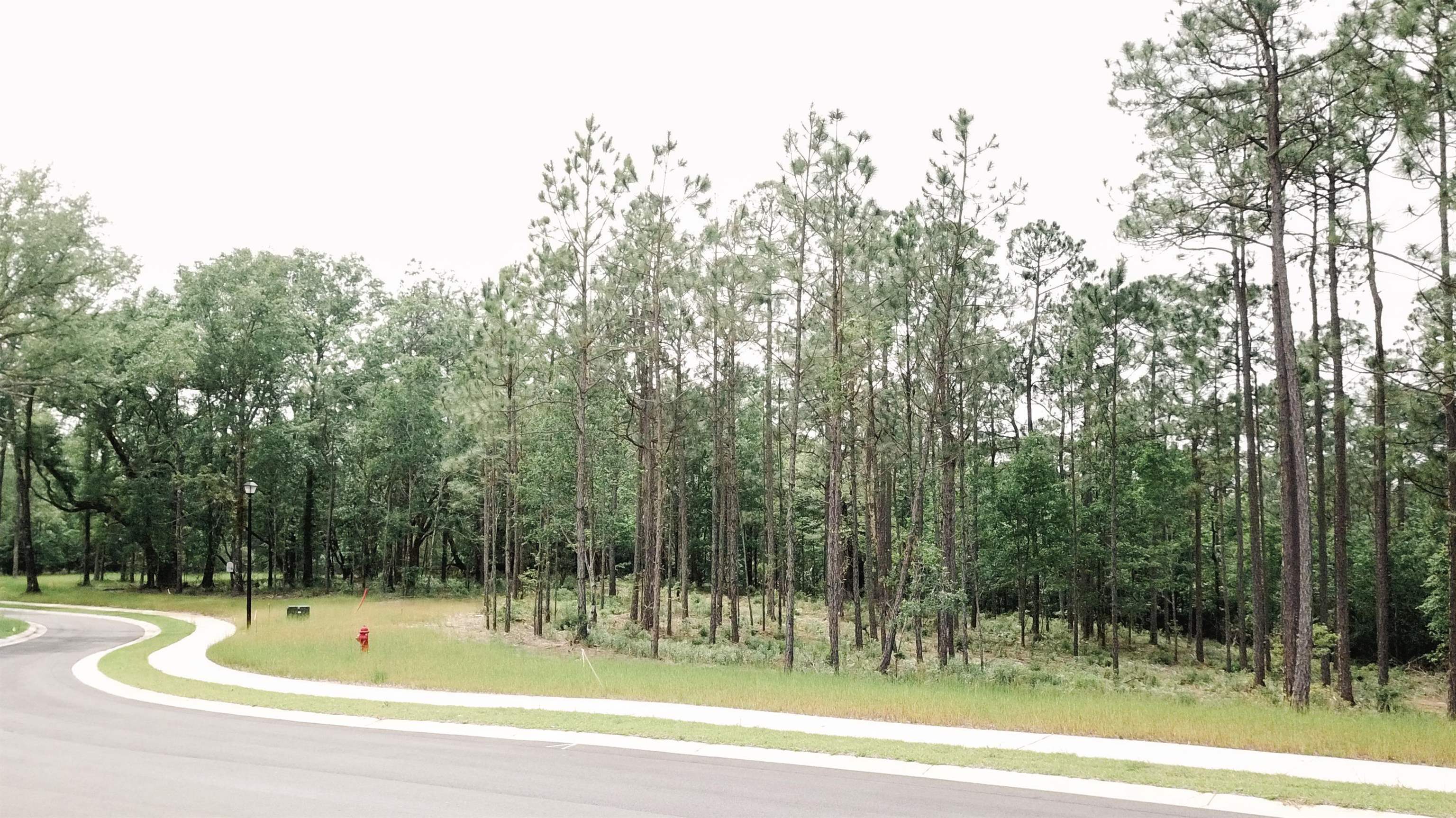 17 Wildflower Trail Daphne, AL 36527 - Photo 2 of 4