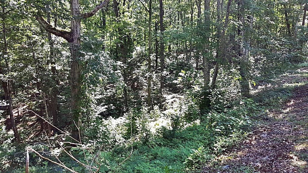 271 Crestwood Circle Decatur, TN 37322 - Photo 28 of 29 Gallery Image 28