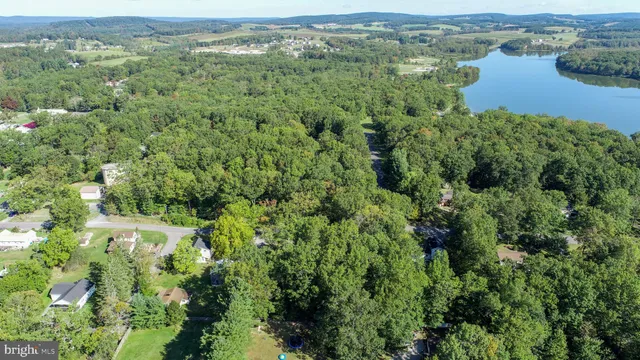 an aerial view of residential houses with outdoor space and trees