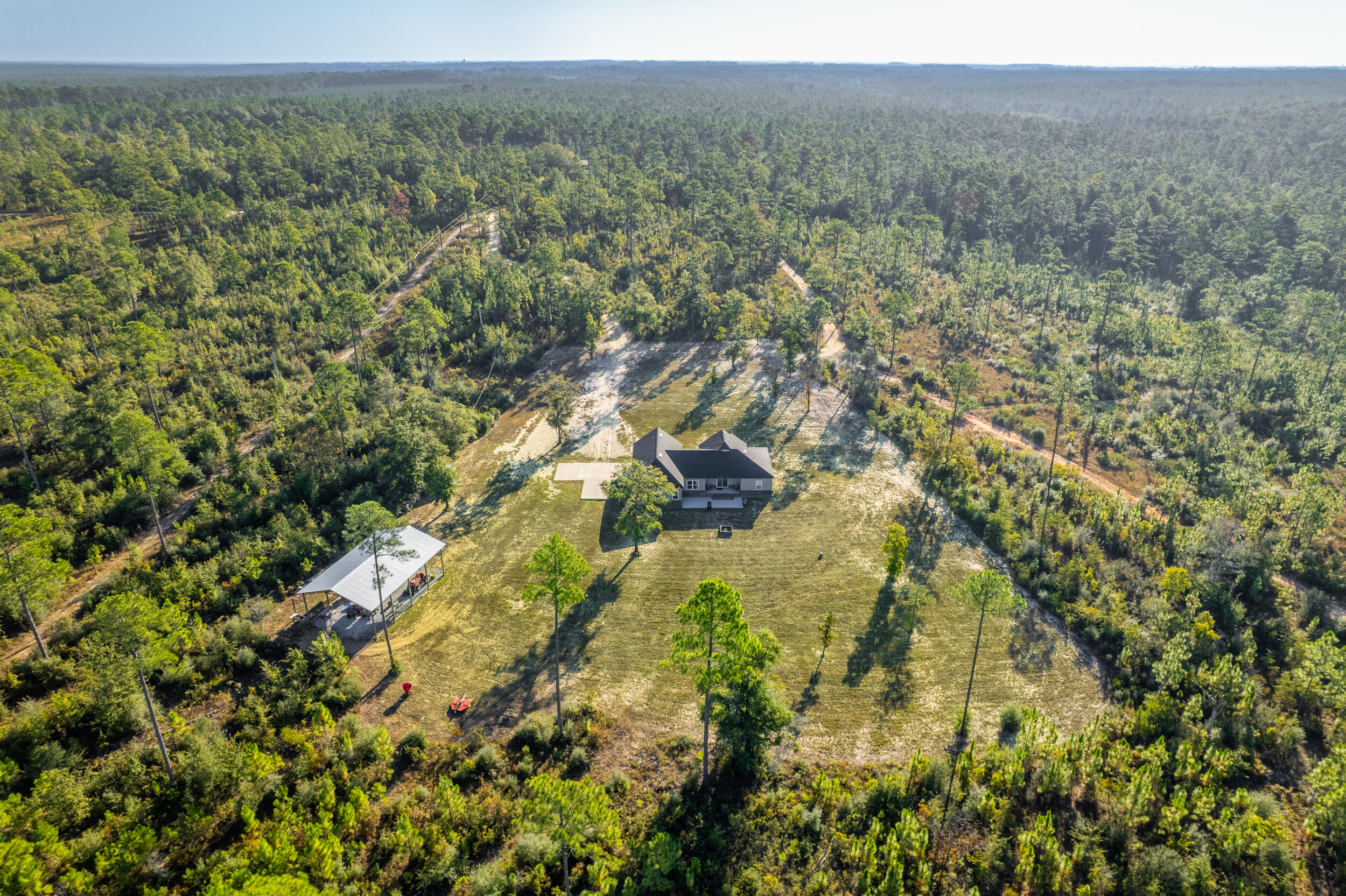 6150 Sherman Kennedy Road Baker, FL 32531 - Photo 31 of 43 a view of a forest with a tree